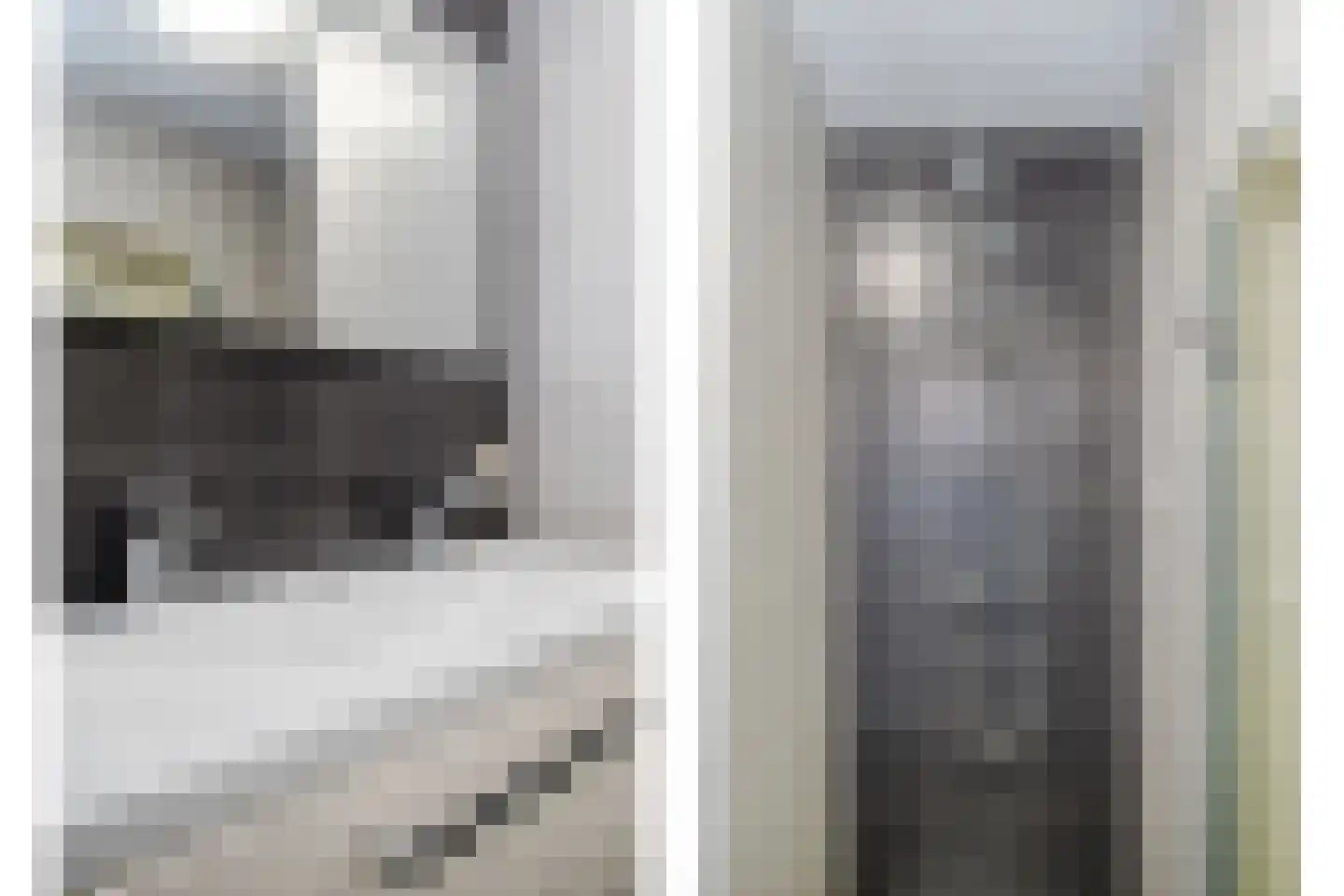Veenslag 5 Nieuwleusen thumbnail 36