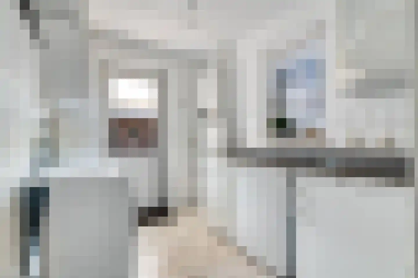Veenslag 5 Nieuwleusen thumbnail 37