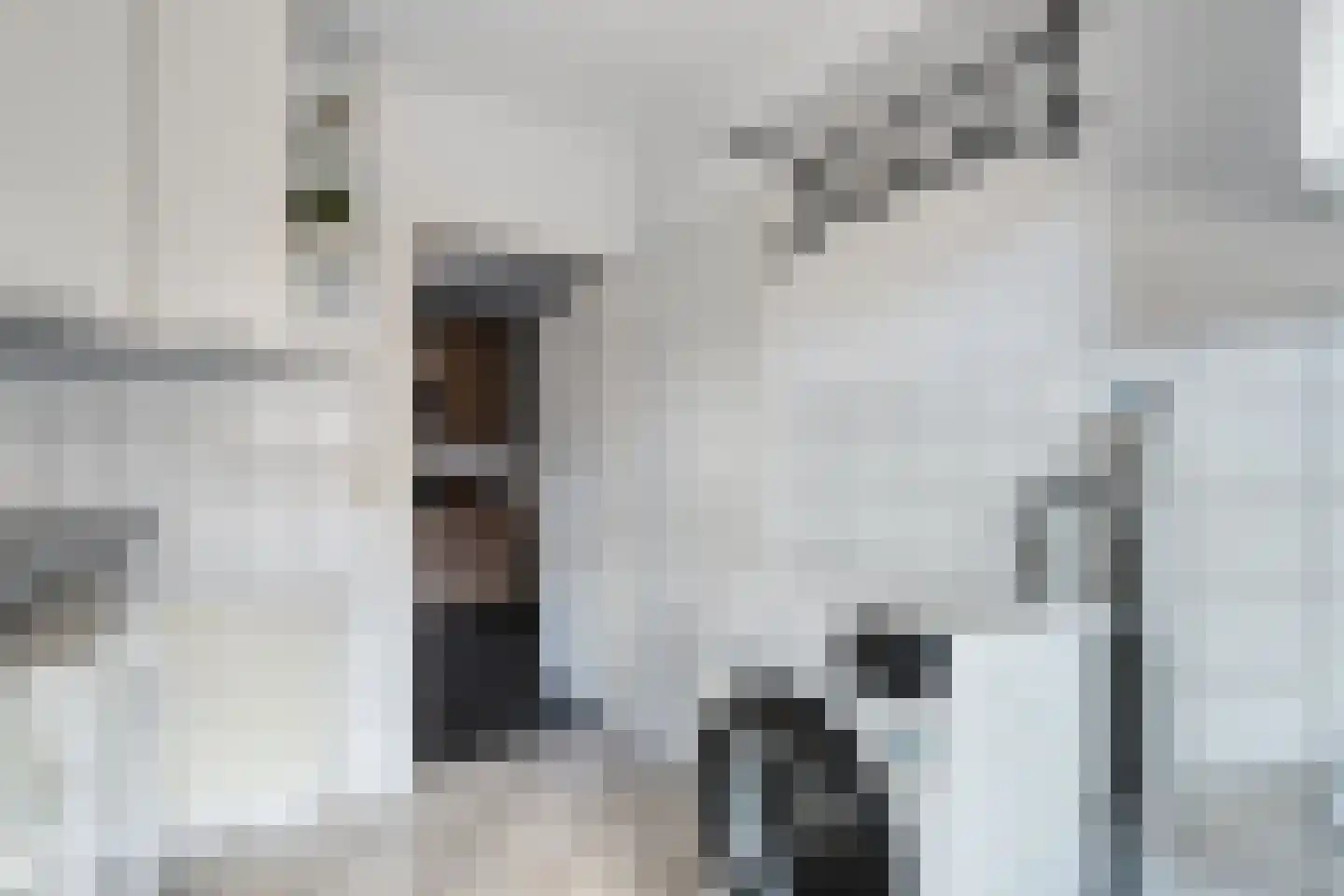Veenslag 5 Nieuwleusen thumbnail 38