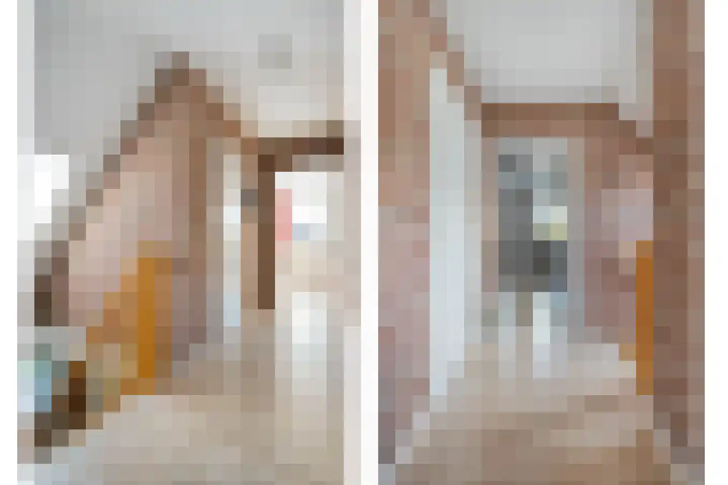 Veenslag 5 Nieuwleusen thumbnail 39