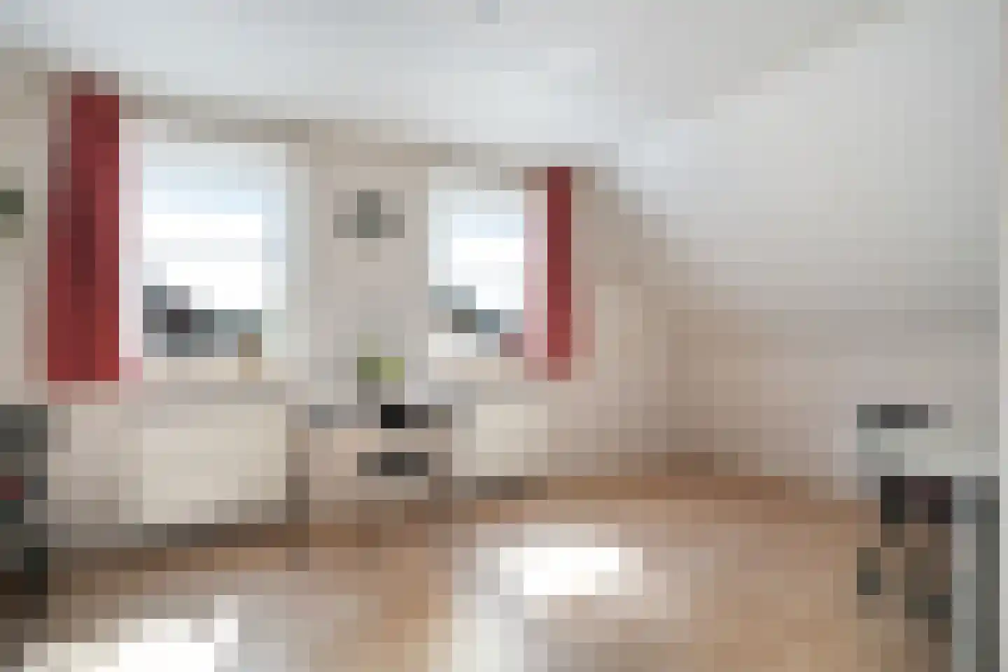 Veenslag 5 Nieuwleusen thumbnail 42
