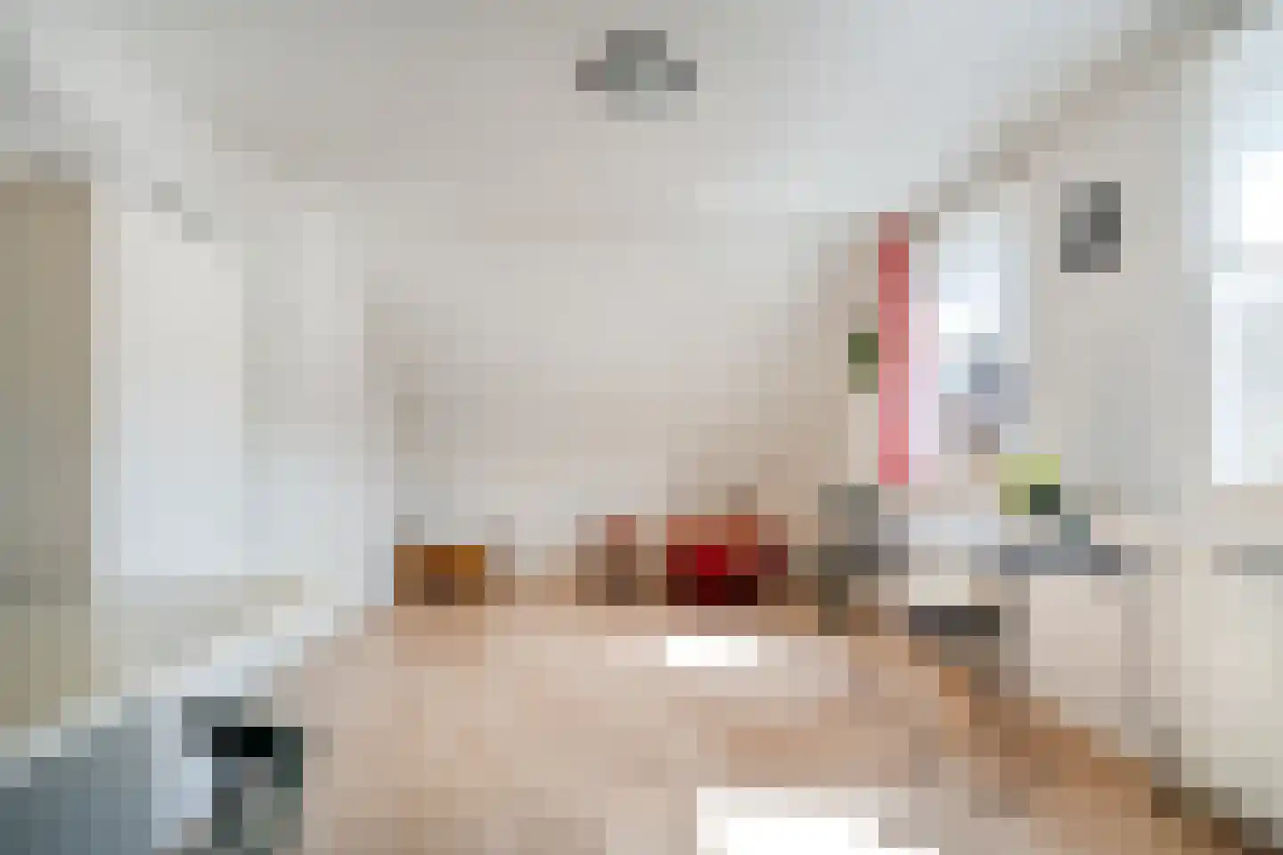 Veenslag 5 Nieuwleusen thumbnail 43