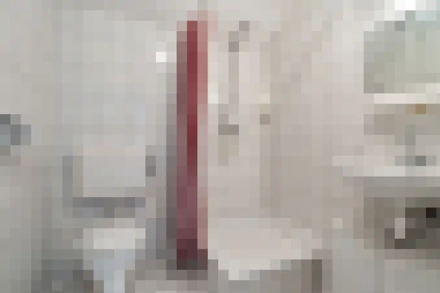 Veenslag 5 Nieuwleusen thumbnail 44