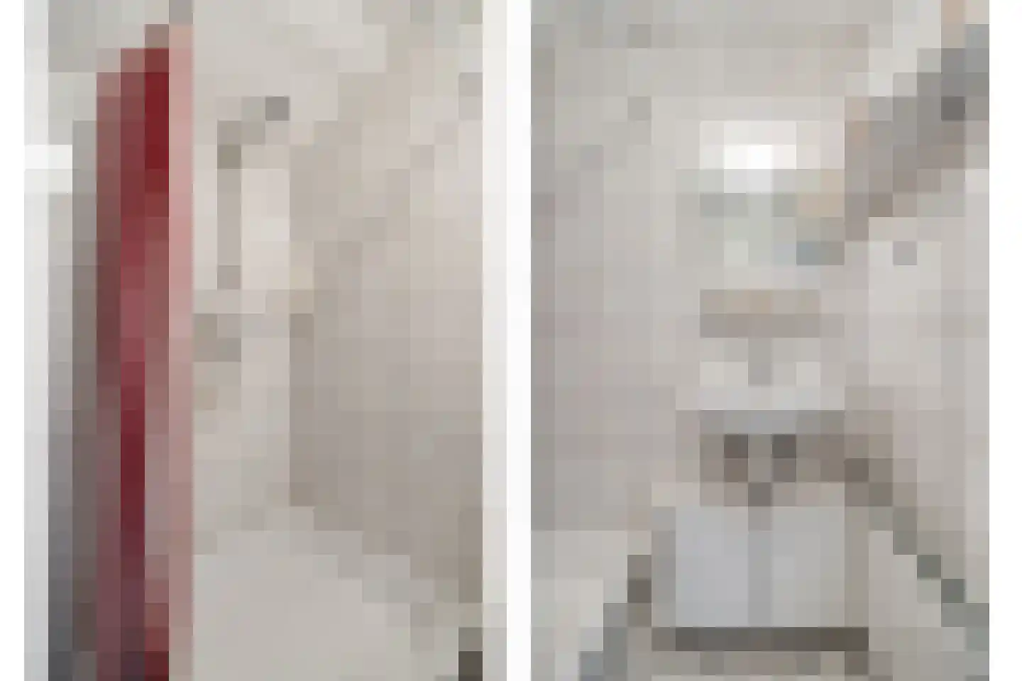 Veenslag 5 Nieuwleusen thumbnail 45