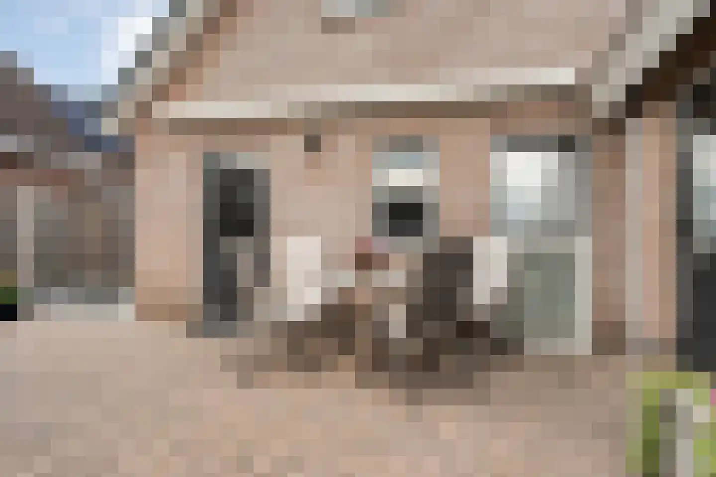Veenslag 5 Nieuwleusen thumbnail 47