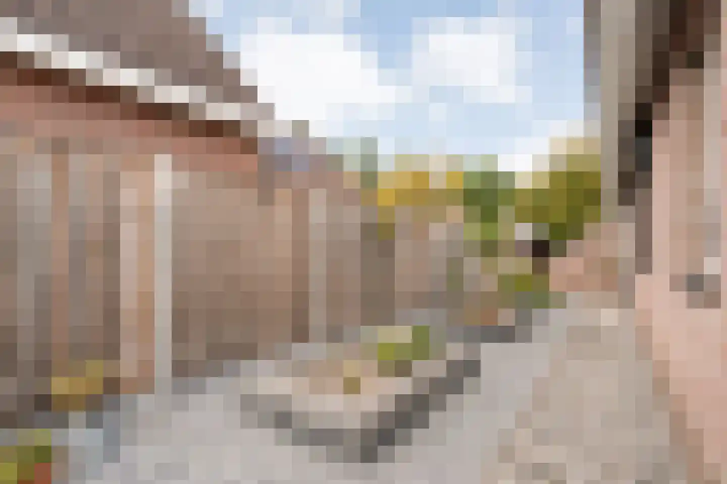 Veenslag 5 Nieuwleusen thumbnail 49