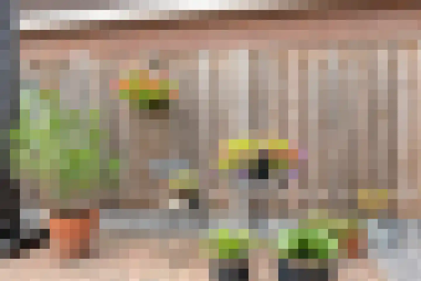 Veenslag 5 Nieuwleusen thumbnail 51
