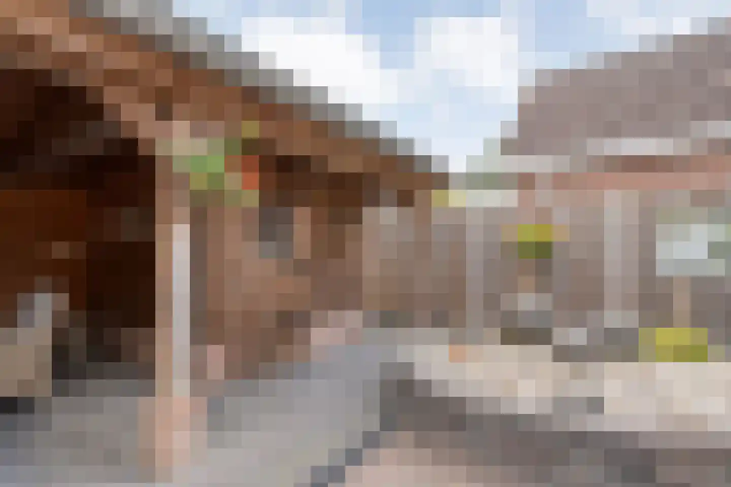 Veenslag 5 Nieuwleusen thumbnail 54