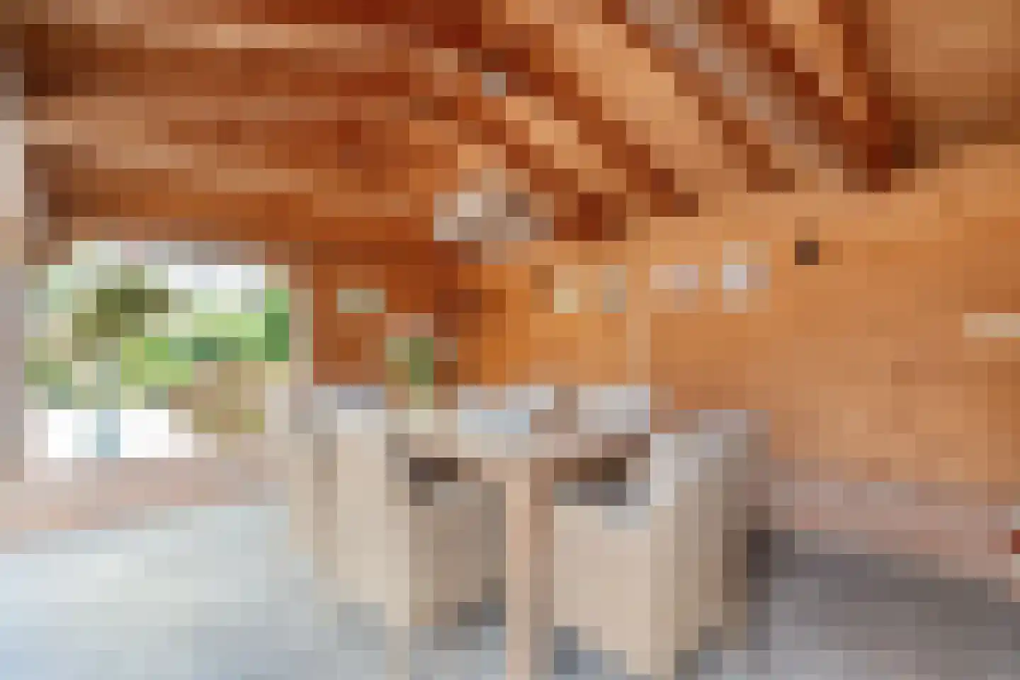 Veenslag 5 Nieuwleusen thumbnail 55