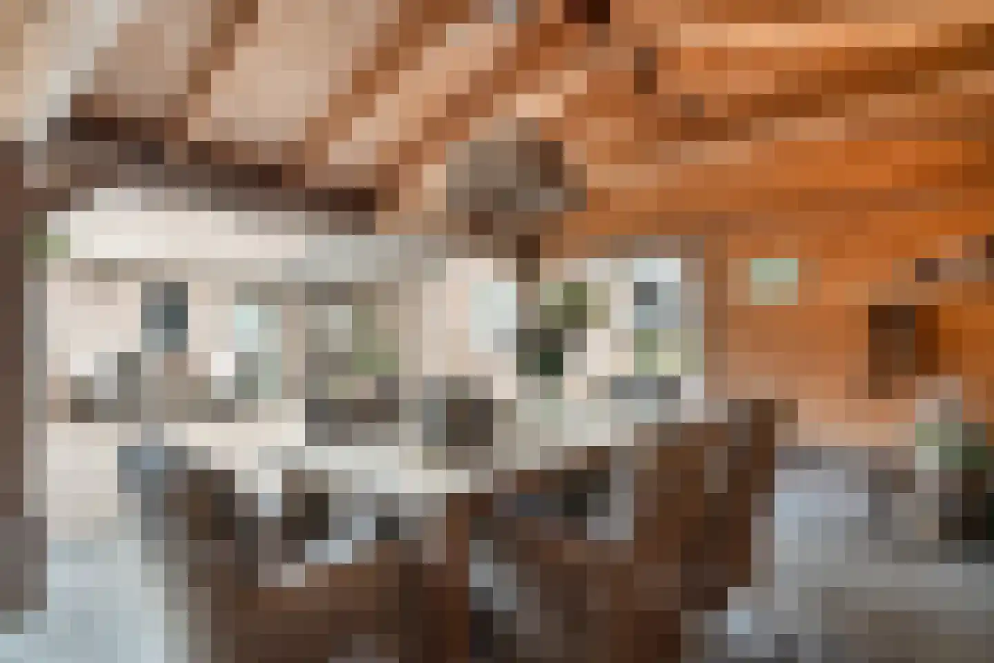 Veenslag 5 Nieuwleusen thumbnail 57