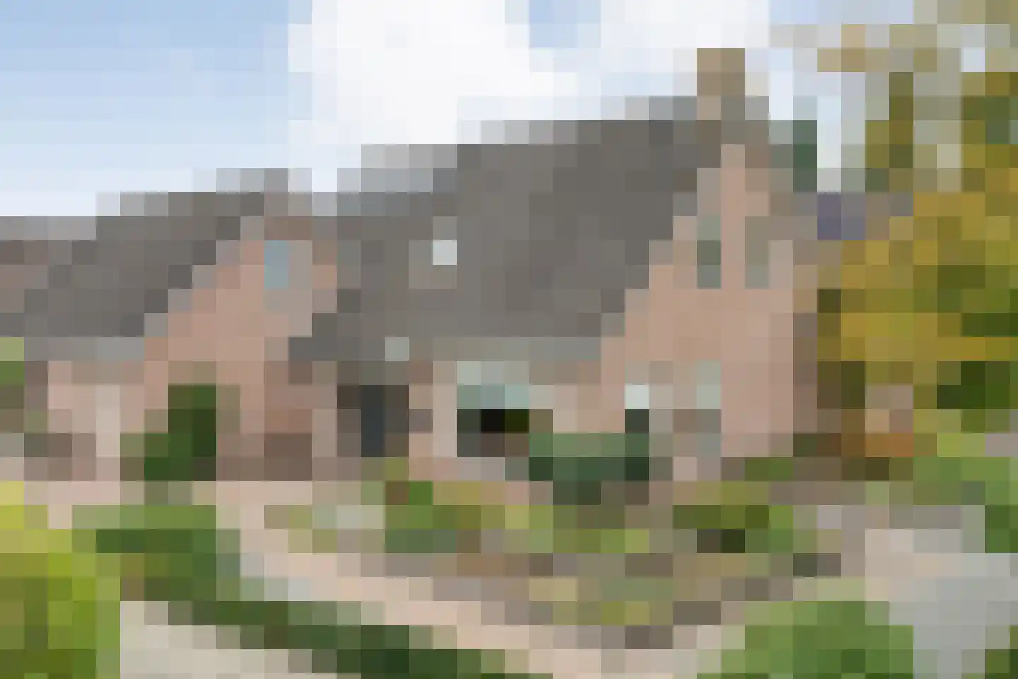 Veenslag 5 Nieuwleusen thumbnail 6