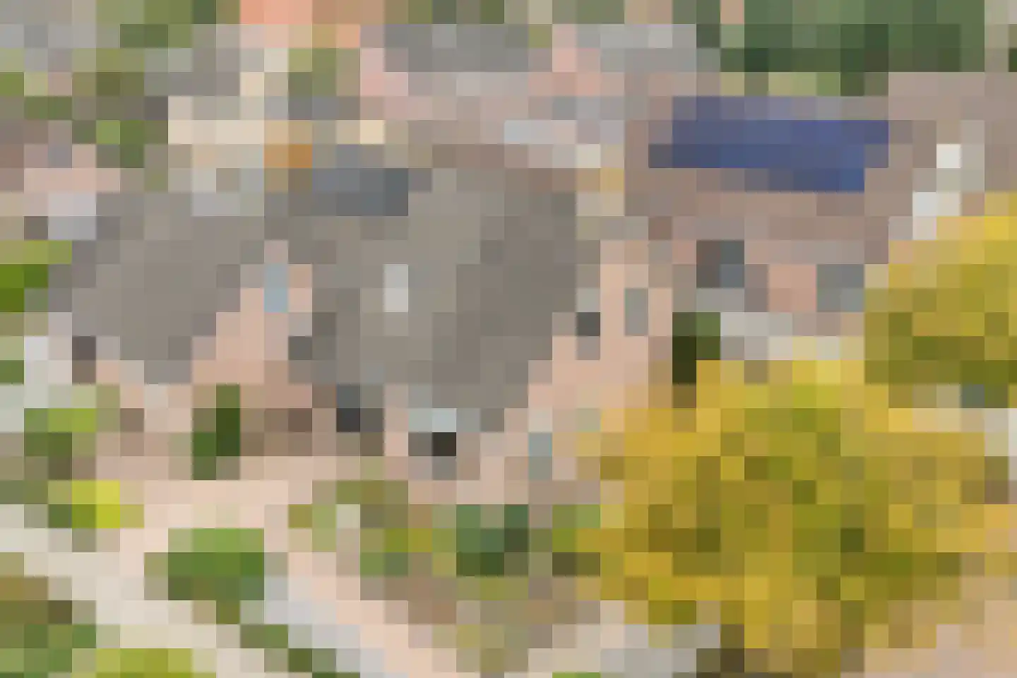Veenslag 5 Nieuwleusen thumbnail 7