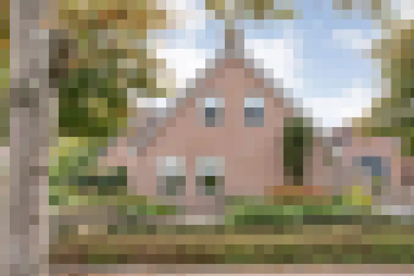 Veenslag 5 Nieuwleusen thumbnail 8