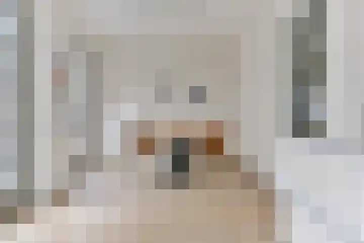 Veenslagen 12 Amersfoort thumbnail 14