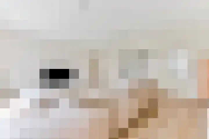 Veenslagen 12 Amersfoort thumbnail 18