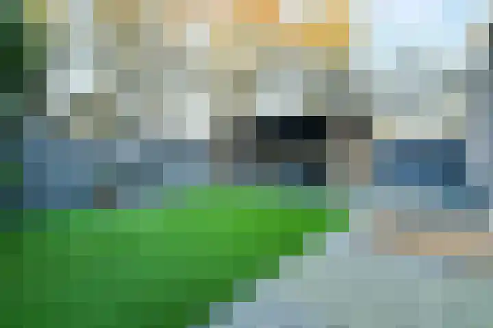 Veenslagen 12 Amersfoort thumbnail 41