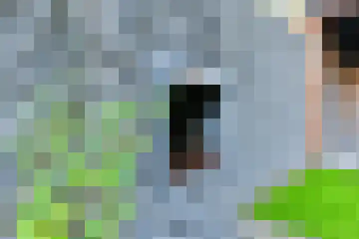 Veenslagen 12 Amersfoort thumbnail 43
