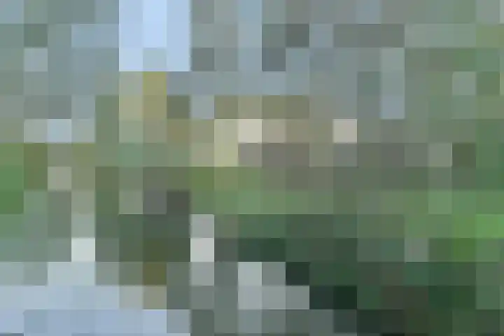 Veenslagen 12 Amersfoort thumbnail 46