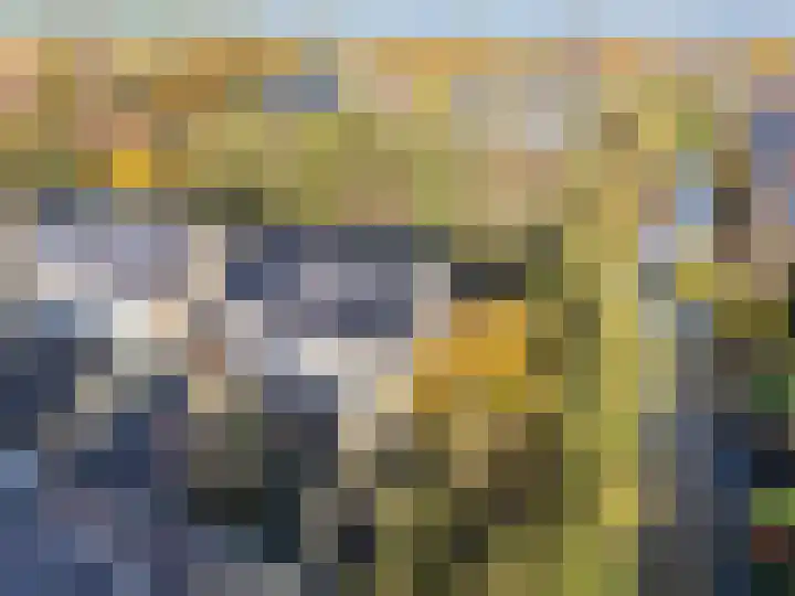 Veenslagen 12 Amersfoort thumbnail 8