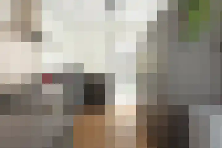Veenslagen 30 Amersfoort thumbnail 10