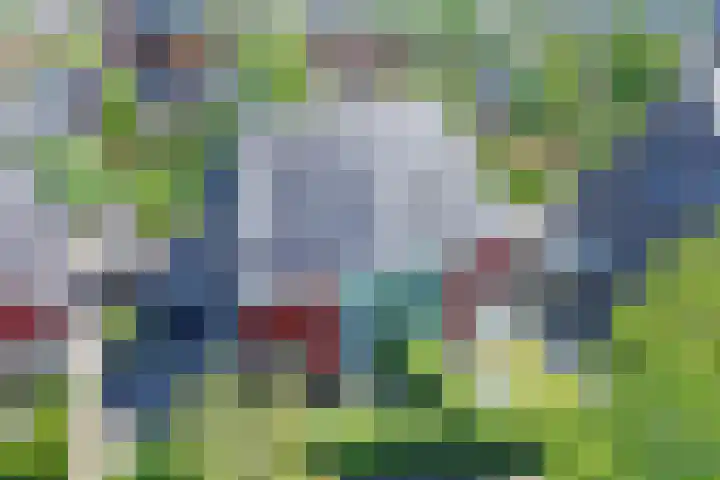 Veenslagen 30 Amersfoort thumbnail 11