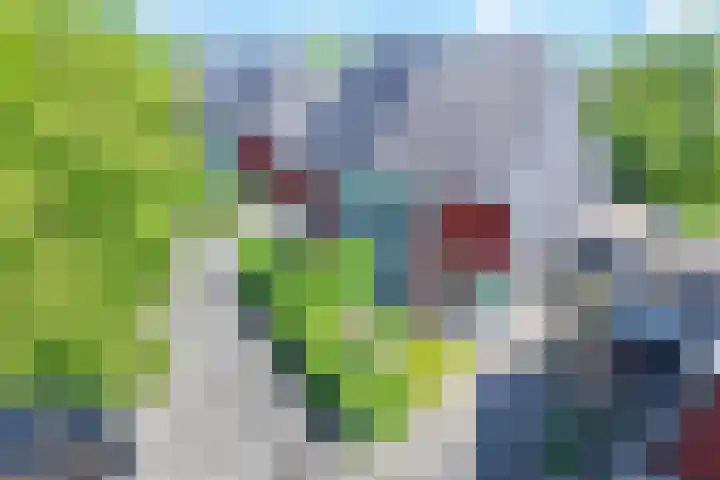 Veenslagen 30 Amersfoort thumbnail 12
