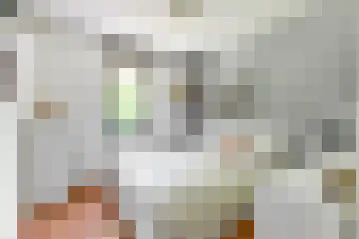Veenslagen 45 Amersfoort thumbnail 20