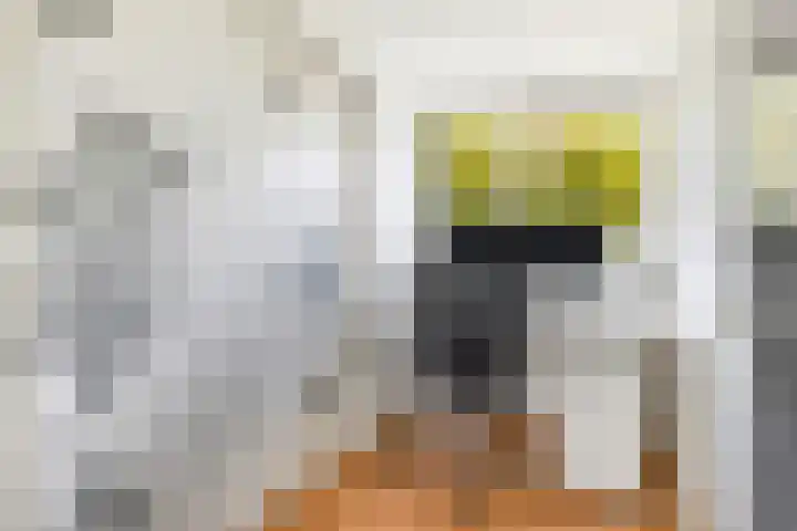 Veenslagen 45 Amersfoort thumbnail 30