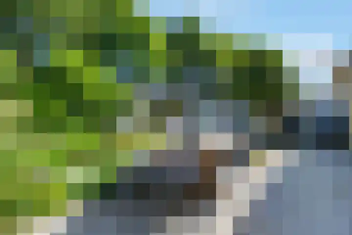 Veenslagen 45 Amersfoort thumbnail 31