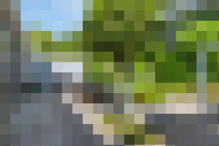 Veenslagen 45 Amersfoort thumbnail 32