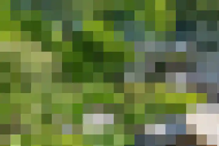 Veenslagen 45 Amersfoort thumbnail 33