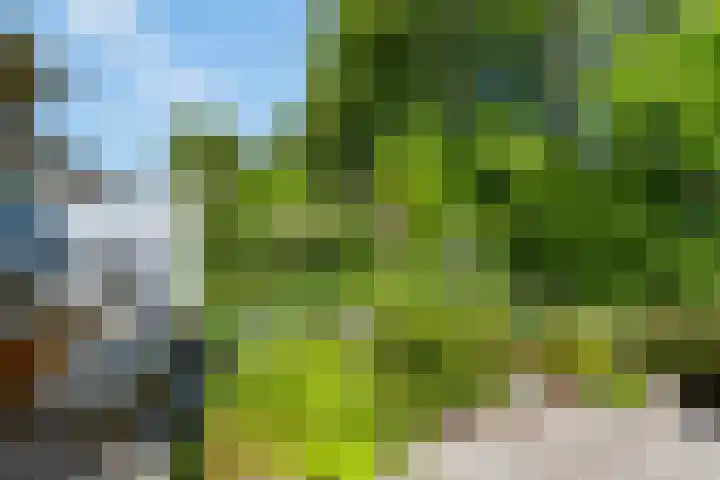 Veenslagen 45 Amersfoort thumbnail 34