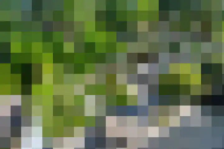 Veenslagen 45 Amersfoort thumbnail 36