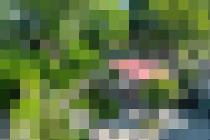 Veenslagen 45 Amersfoort thumbnail 37