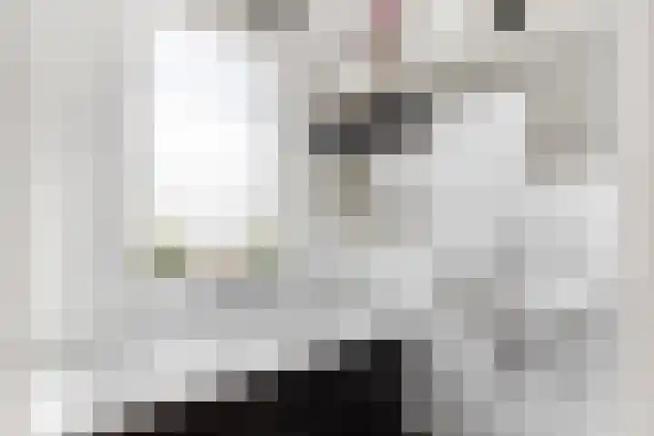 Veenslagen 45 Amersfoort thumbnail 4