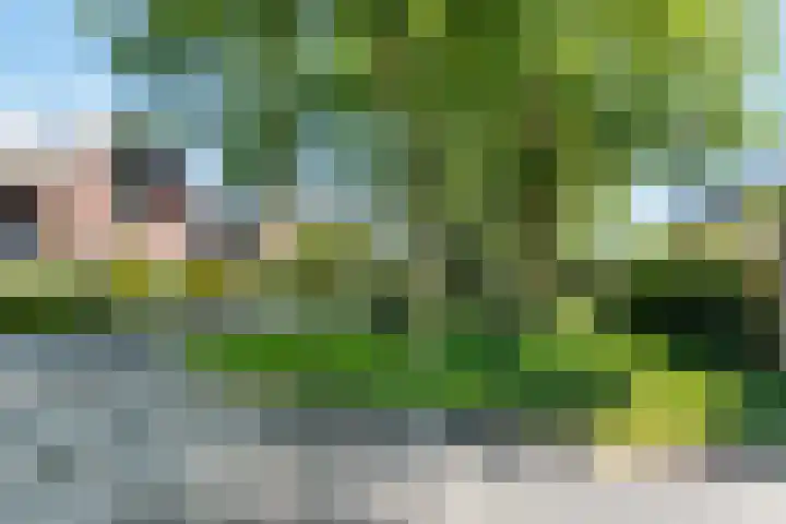 Veenslagen 45 Amersfoort thumbnail 40