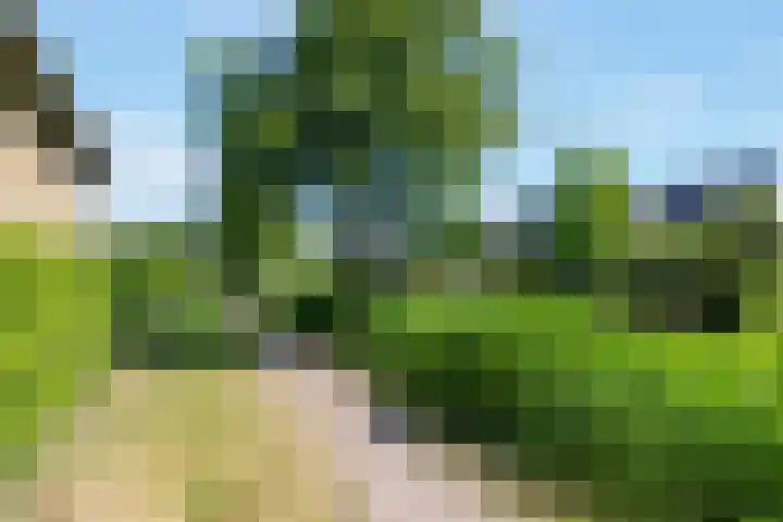 Veenslagen 45 Amersfoort thumbnail 41