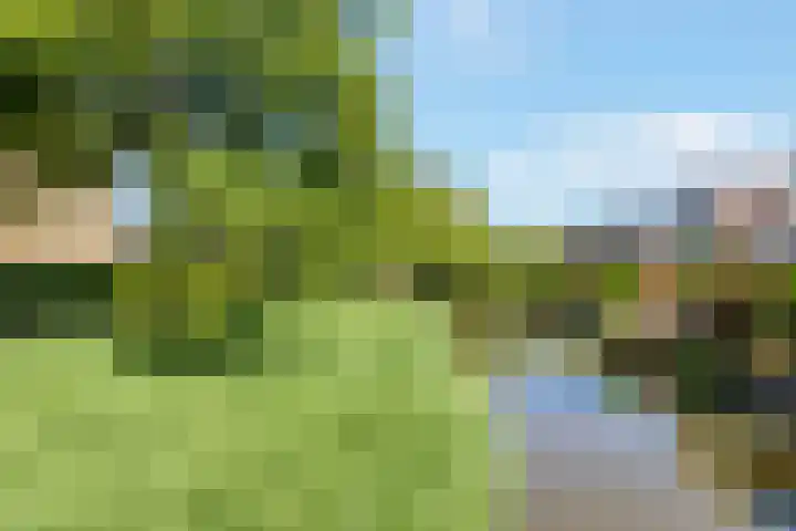 Veenslagen 45 Amersfoort thumbnail 42