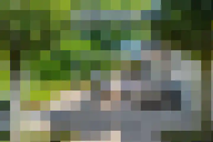 Veenslagen 45 Amersfoort thumbnail 5