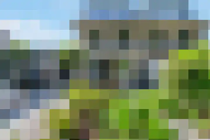 Veenslagen 45 Amersfoort thumbnail 6