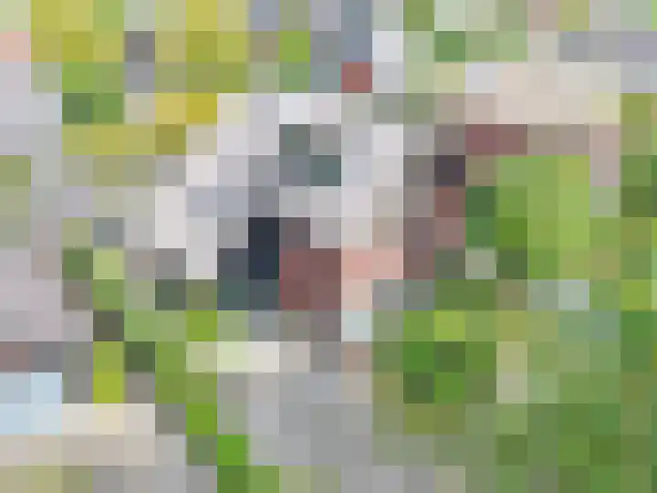 Veenslagen 47 Amersfoort thumbnail 12