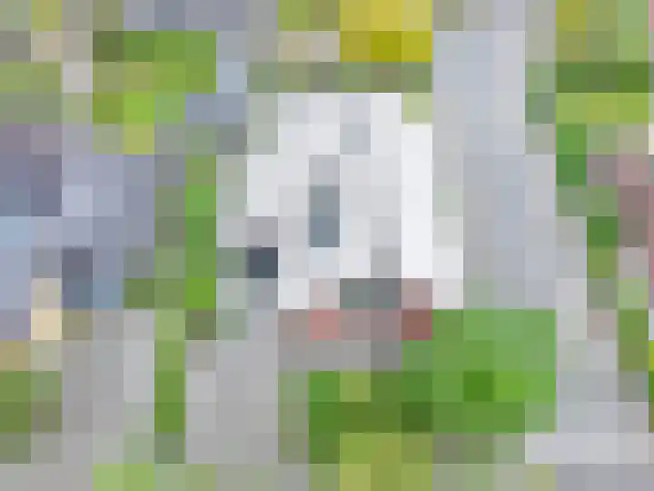 Veenslagen 47 Amersfoort thumbnail 13