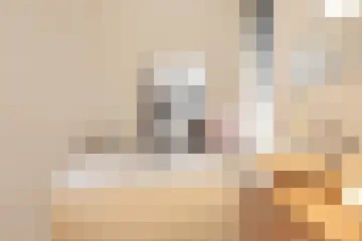Veenslagen 47 Amersfoort thumbnail 42