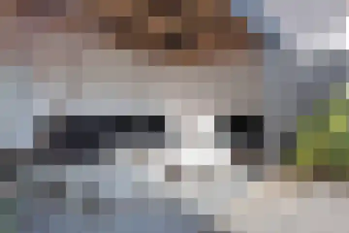 Veenslagen 47 Amersfoort thumbnail 58