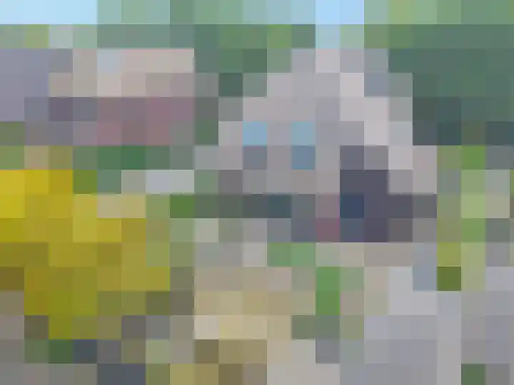 Veenslagen 47 Amersfoort thumbnail 61
