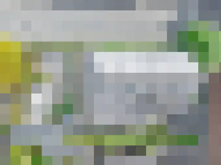 Veenslagen 47 Amersfoort thumbnail 62