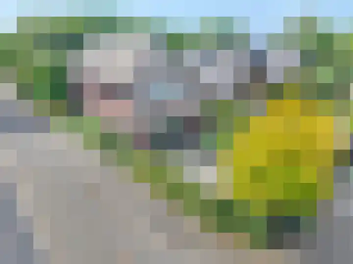 Veenslagen 47 Amersfoort thumbnail 63