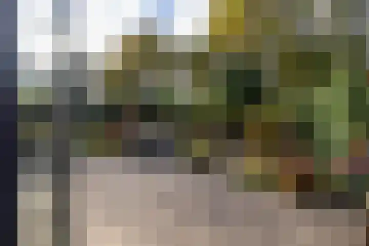 Veenslagen 57 Amersfoort thumbnail 13