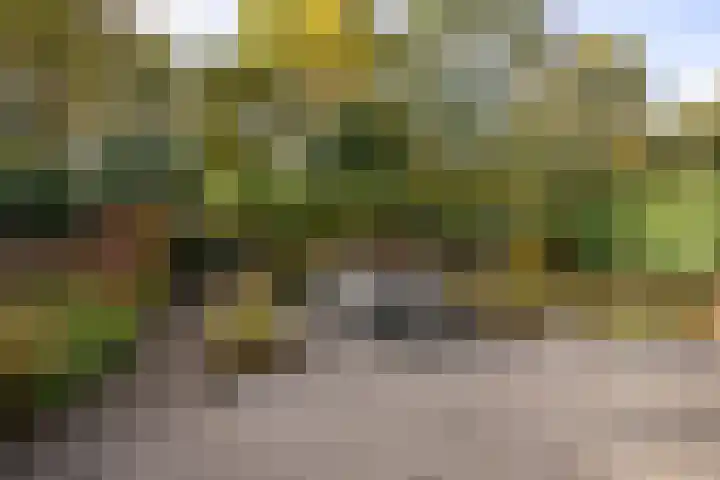 Veenslagen 57 Amersfoort thumbnail 14