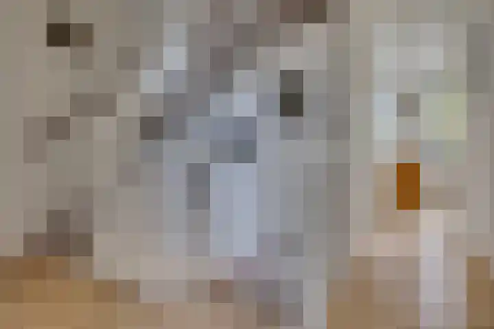 Veenslagen 57 Amersfoort thumbnail 17